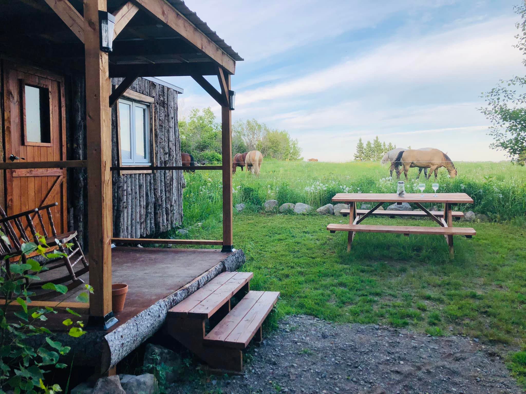 Cheval tribal La cabane aux chevaux