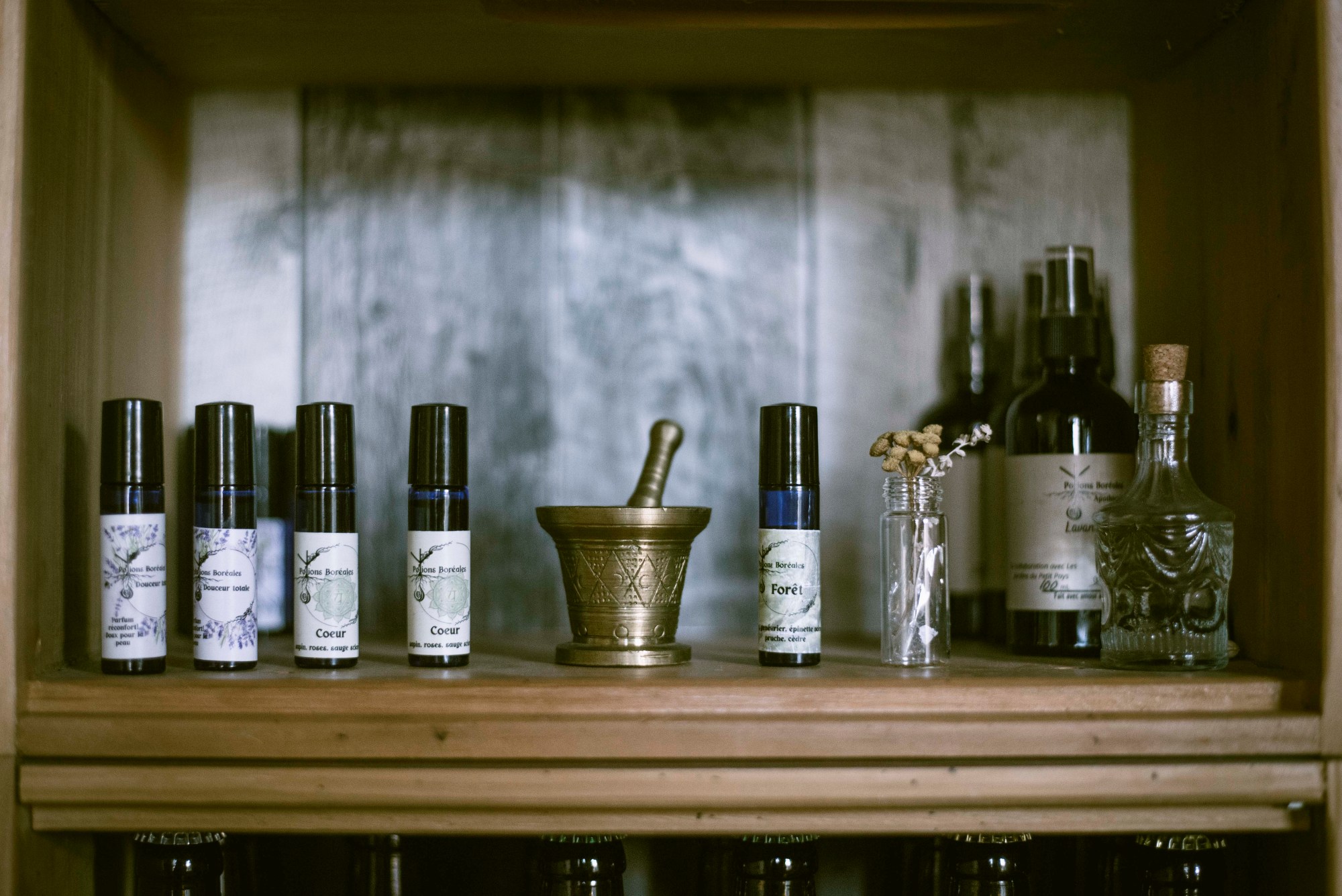 Potions boréales - 03